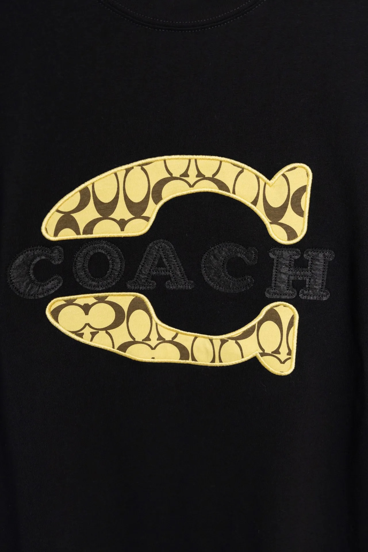 X 013 COACH𦸅Chi 25ss New Arrival T-shirt, embroidery craft brand logo Classic design, highly customized, double gauze pure cotton fabric, soft fabric, fashionable Versatile, Same Style for men and women. Color: Black, White Size: S～XXL Request a copy